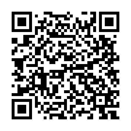 QR code for plate N4B 521
