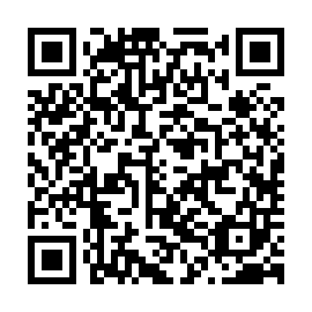 QR code for plate N4B 803