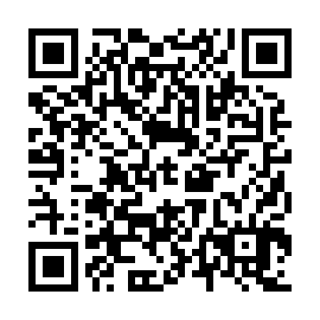 QR code for plate N4B 804