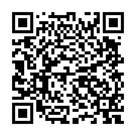 QR code for N4C491