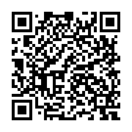 QR code for N4C993