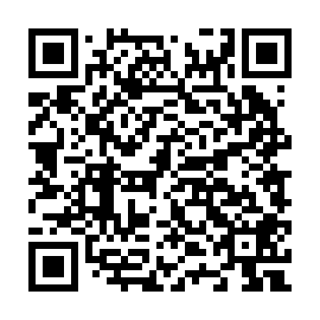 QR code for N4D208