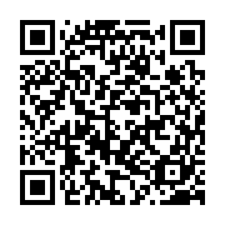QR code for plate N4E 360
