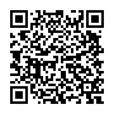 QR code for plate N4E 410