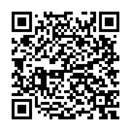QR code for N4E534