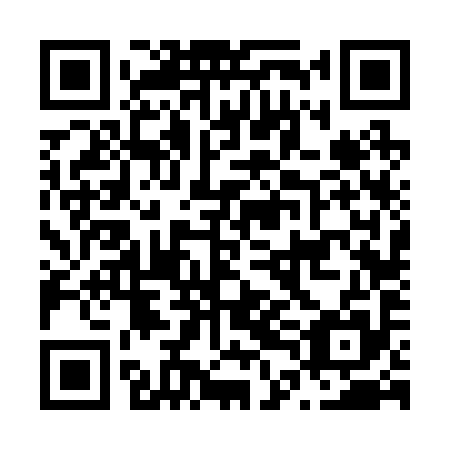 QR code for N4F 295