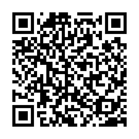 QR code for N4F 739