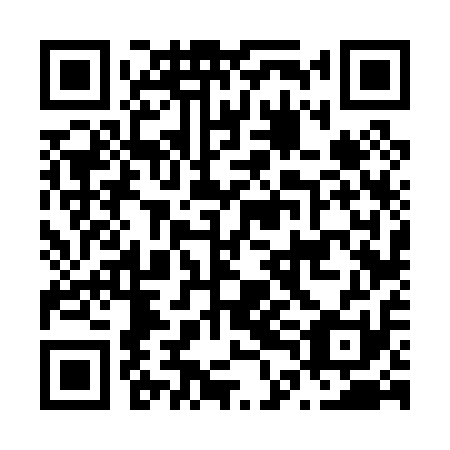 QR code for plate N4F 011