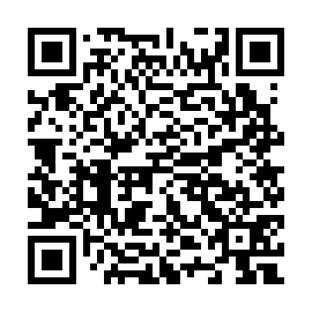 QR code for N4G 371