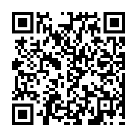 QR code for N4G 381