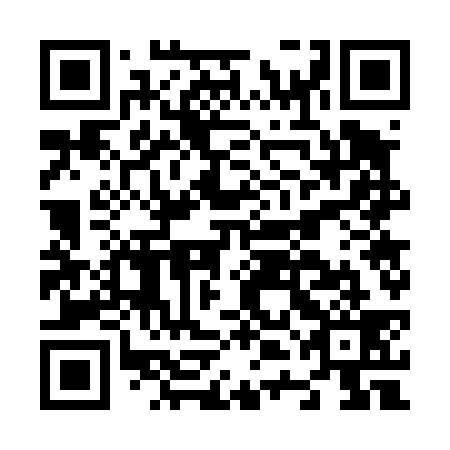 QR code for N4G 439