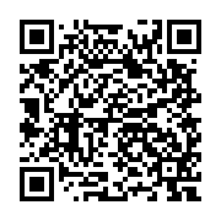 QR code for N4G 593