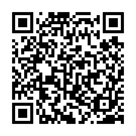 QR code for N4G 653