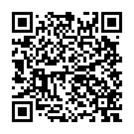 QR code for plate N4G 009