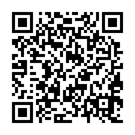 QR code for plate N4G 355