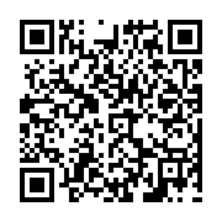 QR code for plate N4G 377