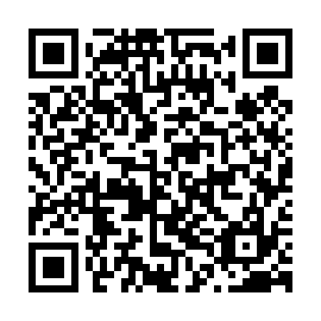 QR code for N4G437
