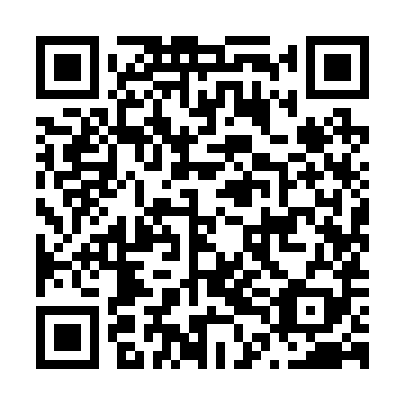 QR code for N4I 289