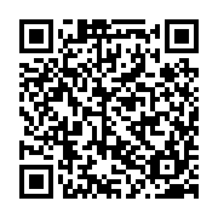 QR code for N4I 294