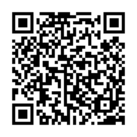 QR code for N4I 493