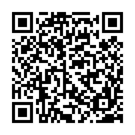 QR code for N4I 496