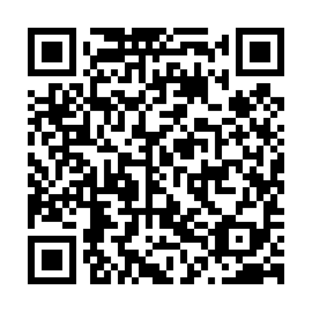 QR code for N4I 499