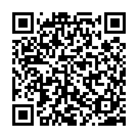 QR code for N4I 523