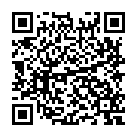 QR code for N4I 917