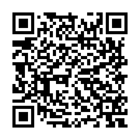 QR code for N4I 954