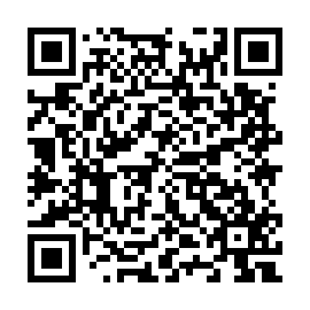 QR code for N4I517