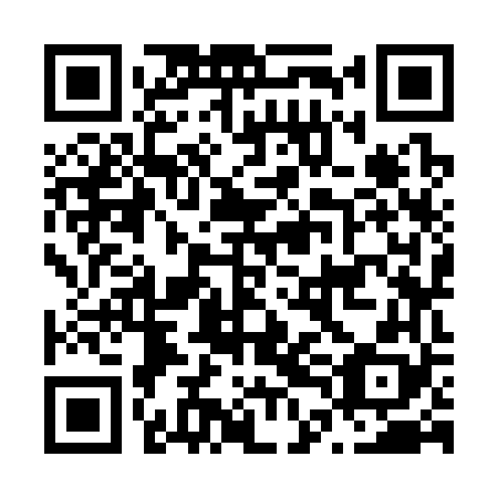QR code for plate N4K 368