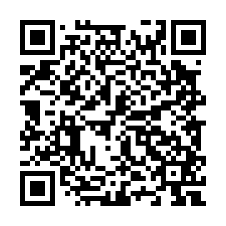 QR code for N4L 041