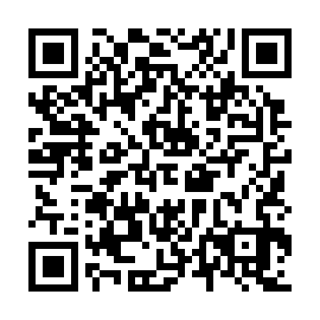 QR code for N4L 333