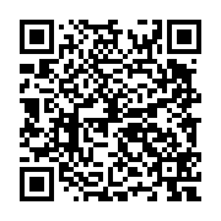 QR code for N4L 419
