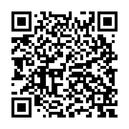 QR code for N4L302