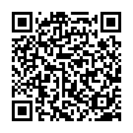 QR code for plate N4L 311