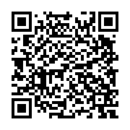 QR code for plate N4L 463