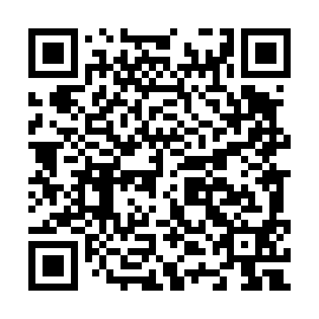 QR code for plate N4L 490