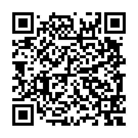 QR code for plate N4L 498