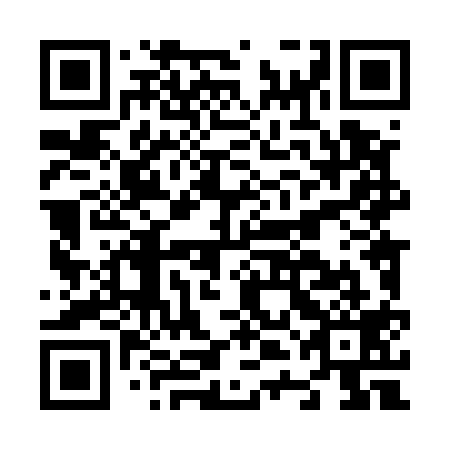 QR code for N4L519