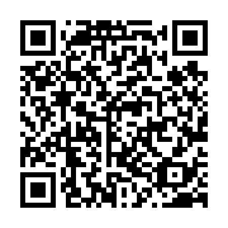QR code for N4L638
