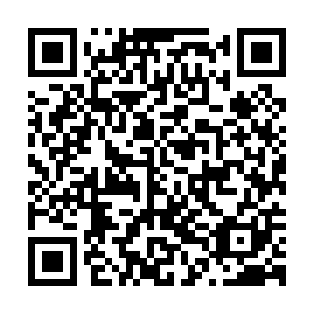 QR code for plate N4M 001