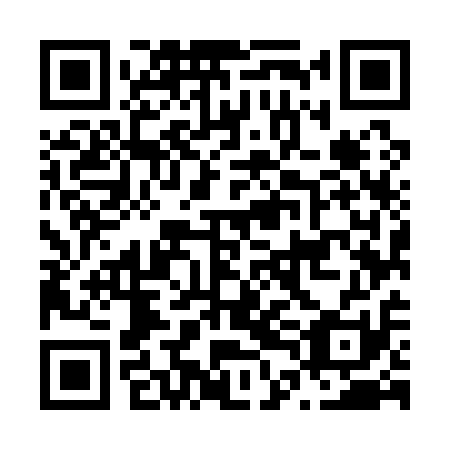 QR code for plate N4M 111