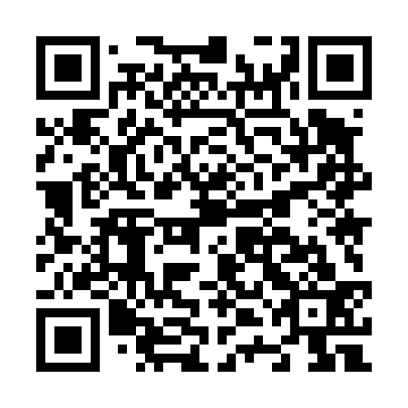 QR code for plate N4M 433