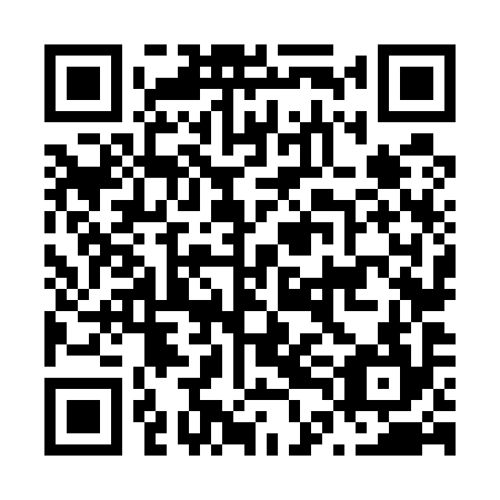 QR code for N4N 594
