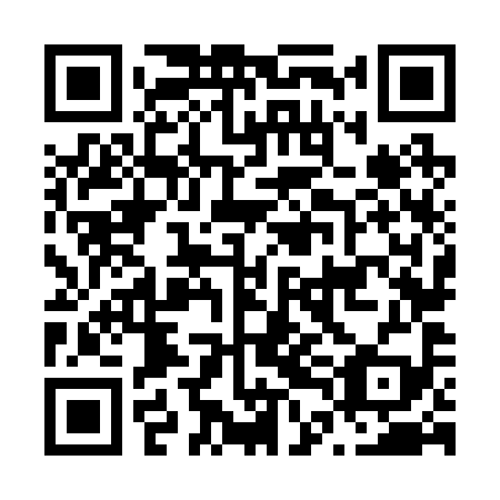 QR code for plate N4N 299