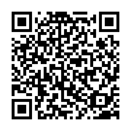 QR code for N4N319