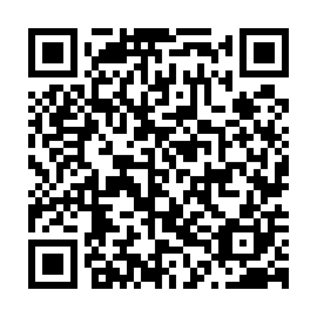 QR code for N4N500