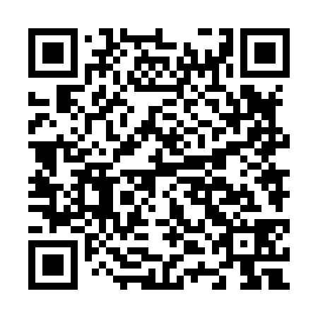 QR code for plate N4N 838