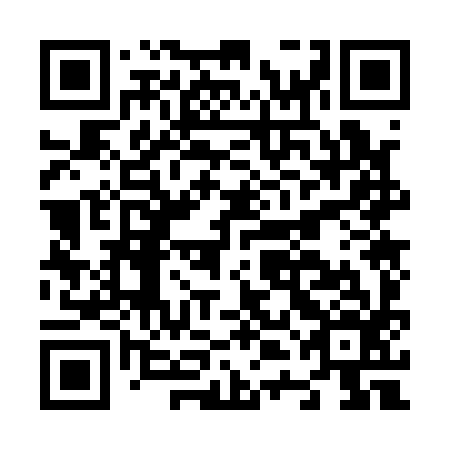 QR code for N4O 196
